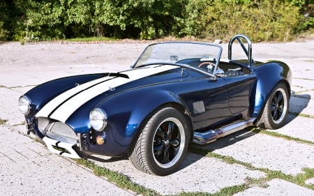 Carroll Shelby Cobra - cobra, shelby, ford, car