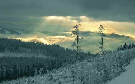 winter - winter, nature, mount, wallp