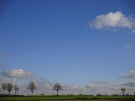 Countryside - clouds, trees, photography, grass, tree, nature, view, cloud, sky