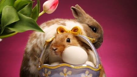 Easter bunnies - easter, basket, bunnies, egg, flower