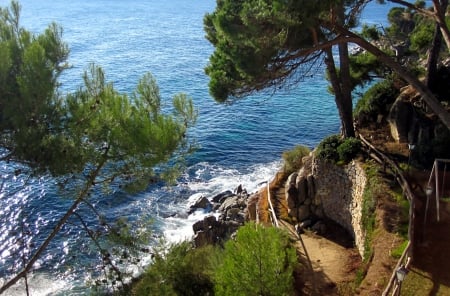 Beach - trees, blue, beach, beaches, photography, ocean, sand, tree, nature, view, green