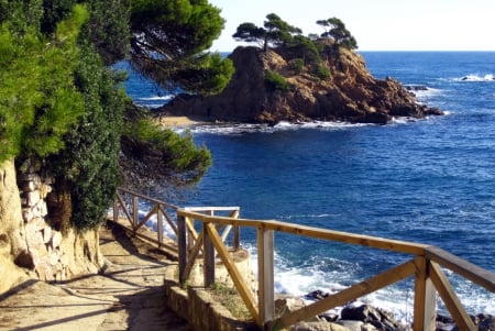 To the beach - trees, blue, beach, beaches, photography, ocean, tree, nature, view, sky