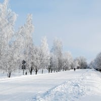 long winter road