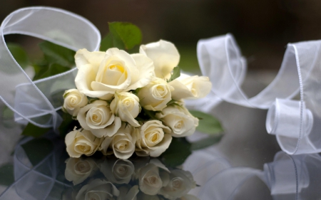 Exquisite white rose