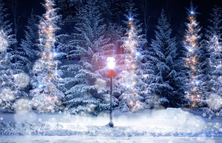 Mysterious Winter Evening - snowfall, trees, winter, night, fir, evening, bow, snow, snowing, vintage lamp post