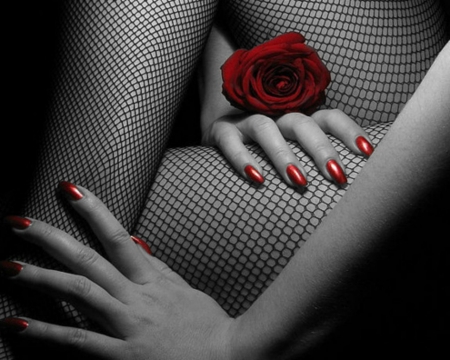 Red Rose - style, legs, red, nails, rose