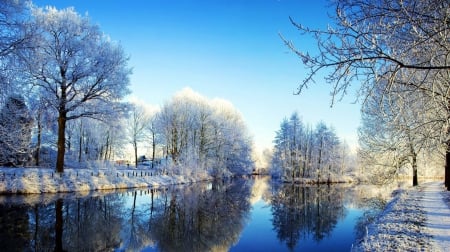 Winter Impressions - river, trees, water, landscape, snow, reflection