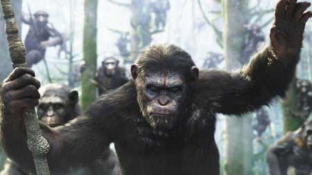 DAWN OF THE PLANET OF THE APES - action, apes, caesar, war