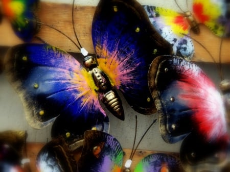 Multicolored Butterflies - insects, wall, butterflies, animals