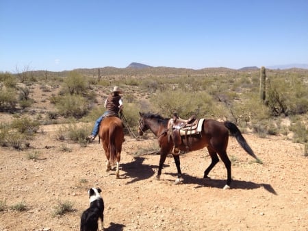 Lost A Rider - women, fun, girls, hat, female, cowgirls, outdoors, western, plains, horses, dog, prairie