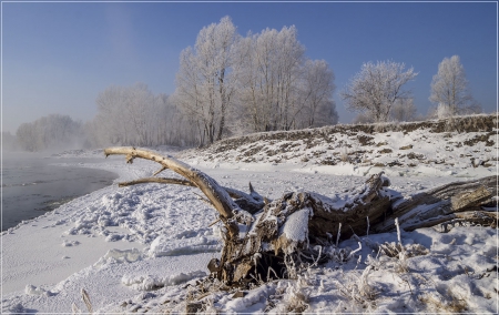 winter - wallp, winter, nature, zima