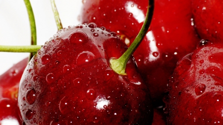 Fresh cherries - cherries, fresh, water, red, macro, drops, fruits