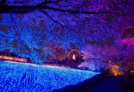 Sagamiko Illumillion - lights, japan, led, night, tokyo, sagami, japanese, nature, park