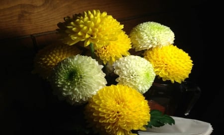 Beautiful Mums - white, nature, yellow, beautiful, flowers, mums