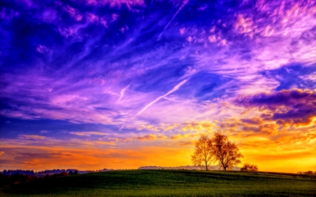 Fields of Glory - clouds, trees, sky, fields