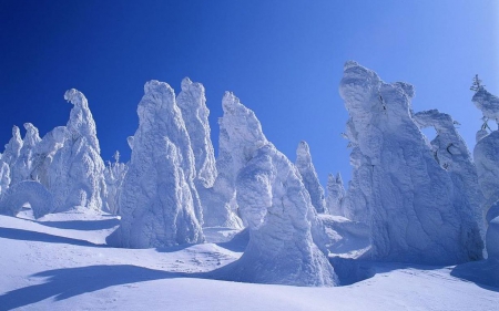 Standing snow - north, sky, landscape, winter, wallpaper, frosted, hd, nature, cold, frost, snow, frozen, arctic, scene