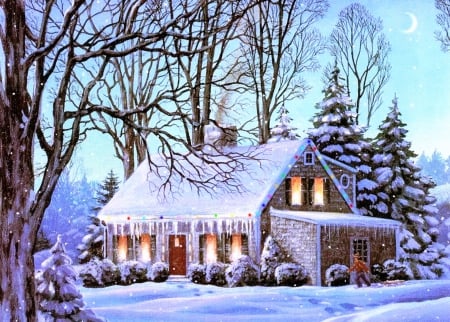 Cold winter evening - home, trees, snow, winter, christmas