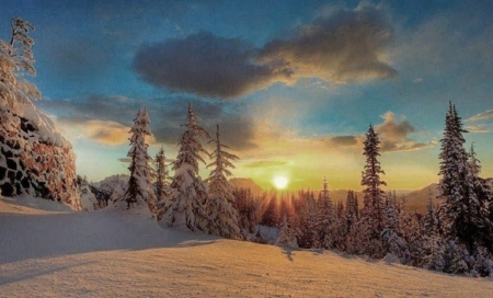 Winter Sunset - pines, winter, sunset, nature, snow