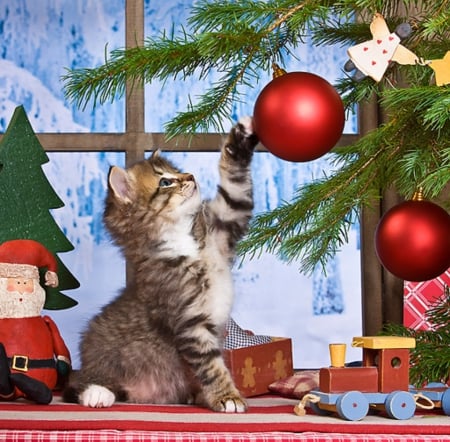 Christmas kitty - animals, christmas, cats, kitty