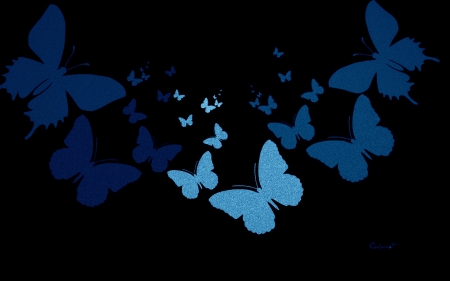 Butterflies - butterfly, black, by cehenot, blue