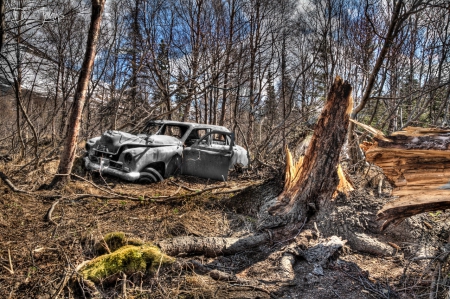 Lost Dreams - auto, field, trees, car