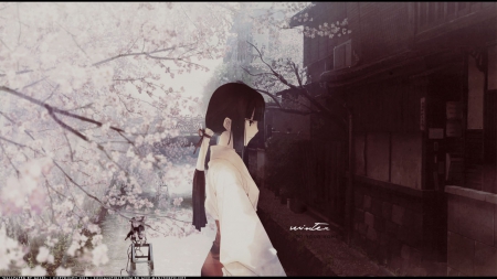 Japanese Beauty - cherry blossom, sakura, orginal, girl, love, long hair, shrine, japan, miko, japanese