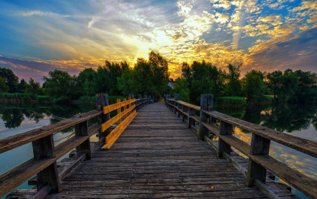 Sunset - trees, amazing, sunset, clouds