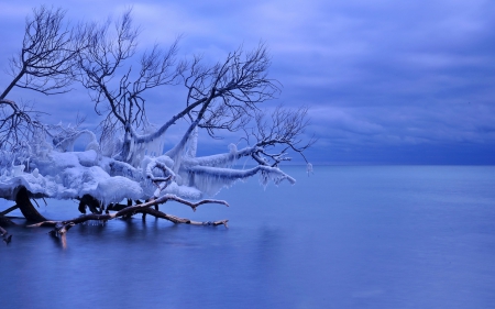 Frozen - ice, blue, snow, water, winter, frozen