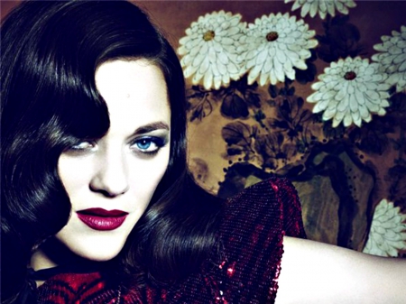 Marion Cotillard - Marion Cotillard, girl, flower, actress, make-up, white, red, woman, model, face