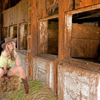 Stable Girl