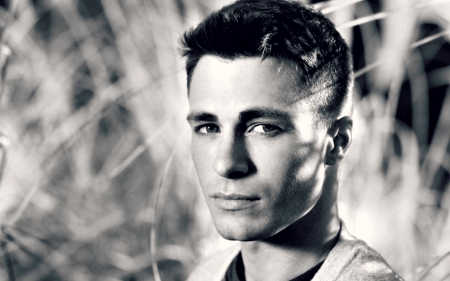 Colton Haynes - white, black, colton haynes, actor, blue, man