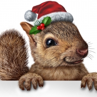 Christmas Squirrel
