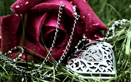 Rose and Locket - abstract, locket, heart, green, grass, photograph, rose