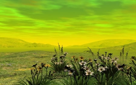 Sun-Kissed - abstract, flowers, hills, 3d and cg