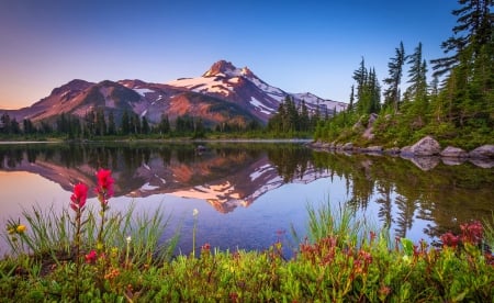 Lake Flowers - lake, trees, snowy peaks, mountains, oregon, wilderness, reflection, beautiful, flowers, grass, wildflowers