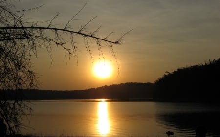 cool sunset - lake, cool, tree, sunset, mountain