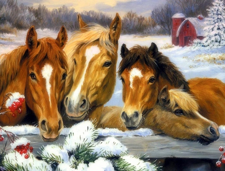 Winter Family of Horses