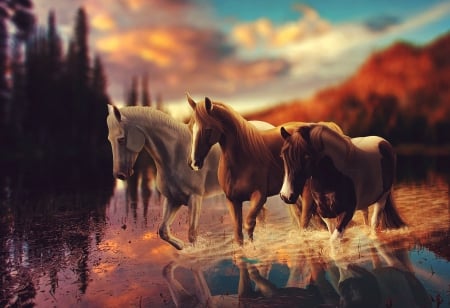 Horses - horses, fantasy, animals, art