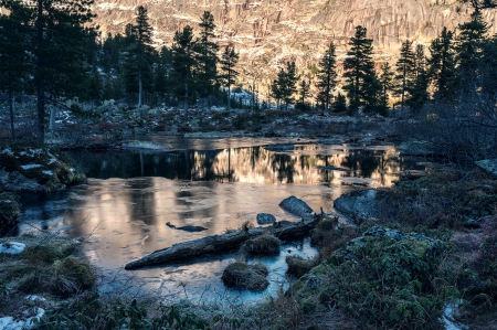 Lake - lake, mountains, trees, snow