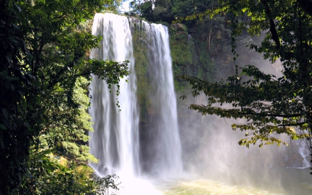 Misol-Ho Waterfall, Mexico - mexico, spray, trees, waterfall