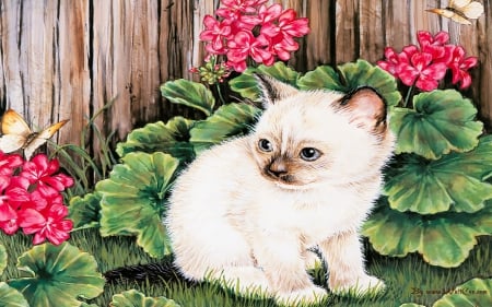 kitten - flower, fence, kitten, cat, leaf, feline