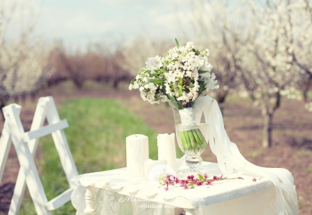 :) - flowers, photography, white, soft