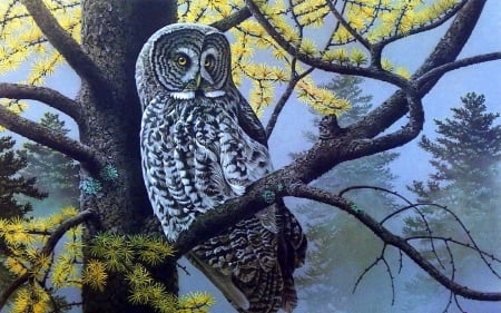 Gray Large Owl - pretty, winter, creative pre-made, paintings, lovely, tree, owl, cute, love four seasons, draw and paint, animals