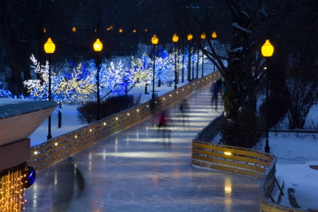 Skating Avenue - fun, ice, trees, people, skating, winter, park, avenue, snow, lamps, lights