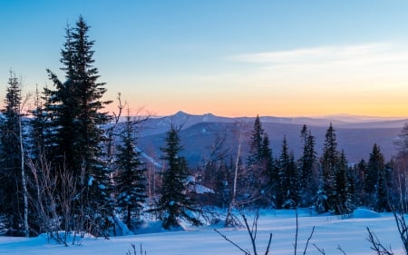 Winter Evening - sky, trees, pine, russia, winter, mountains, fir, forest, clouds, snow