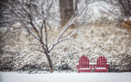 Silence - white, silence, pink, winter, tree, snow