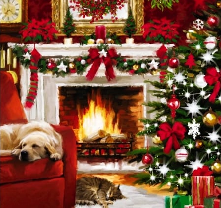 Christmas time nap - furnace, christmas, dog, nap, firre, tree, cat