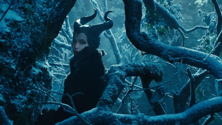 Maleficent - winter, black, maleficent, blue, fantasy, movie, fairy, branch, angelina jolie, woman, disney, horns