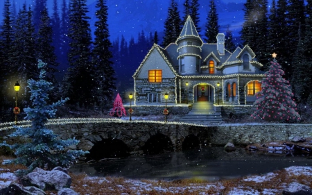 Festive Winter Night - christmas, xmas, holiday, lights