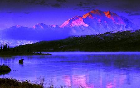 WINTER LAKE - winter, nature, lake, mountain